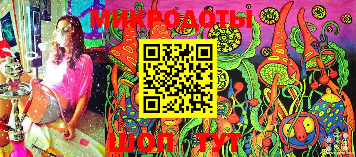 Камень-на-Оби  Псилоцибиновые грибы Cubensis  Вход с VPN  Псилоцибиновые грибы Psilocybine cubensis 